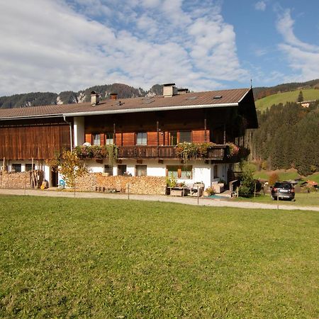 Ferienwohnung zum Mühltal WILD025 Wildschoenau Exterior foto